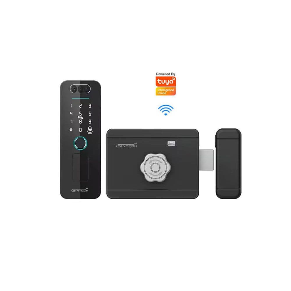 Tuya WiFi Smart RIM Door Lock (Face)