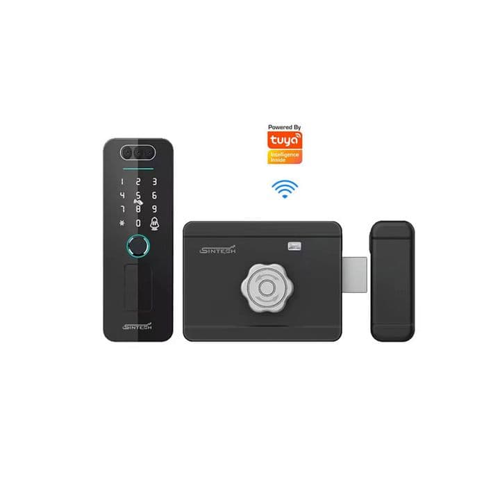 Tuya WiFi Smart RIM Door Lock (Face)